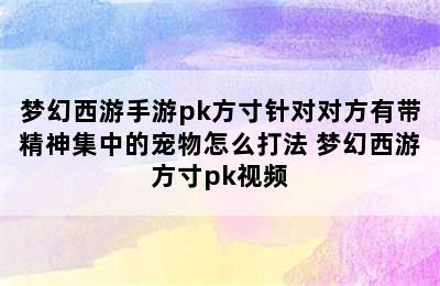 梦幻西游手游pk方寸针对对方有带精神集中的宠物怎么打法 梦幻西游方寸pk视频